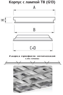 �������. �����